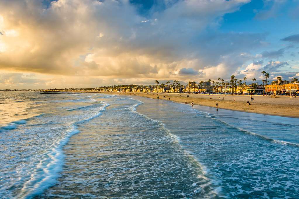 Cambria Hotel Anaheim Resort Area Ausstattung foto